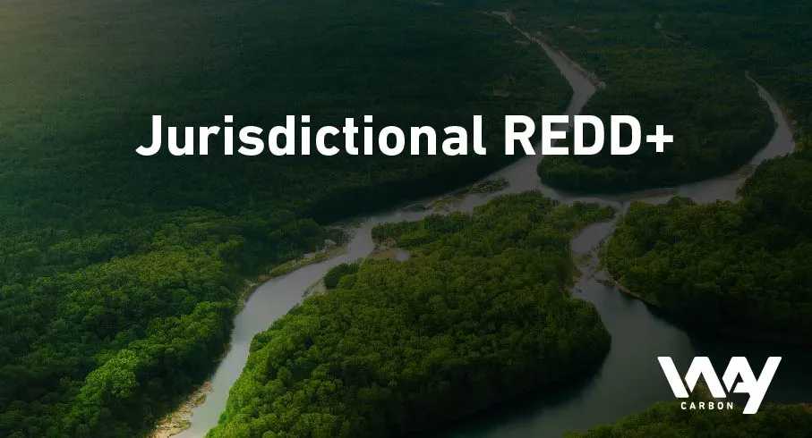 Advantages and challenges of the jurisdictional REDD+approach