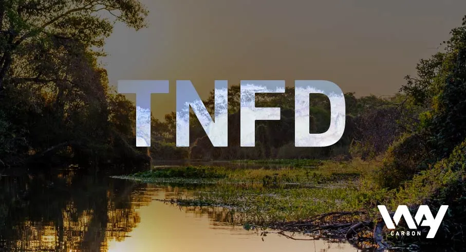 Biodiversity and the TNFD: what do companies need to know?