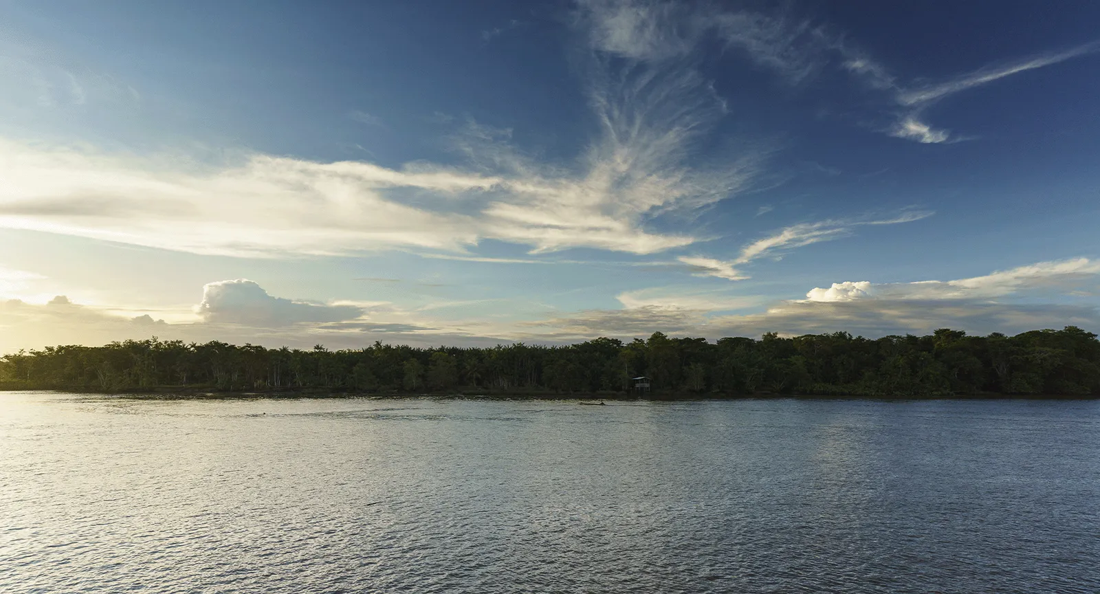 COP30, climate goals and the private sector