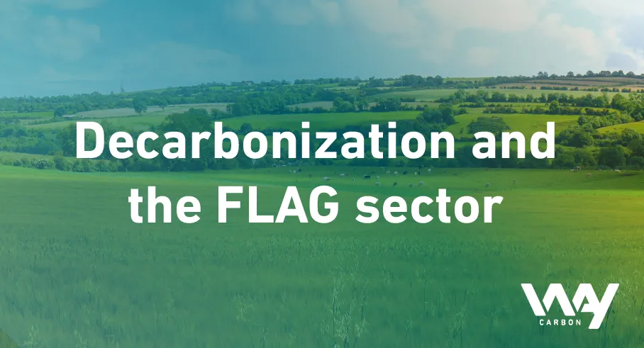 Decarbonization targets for the Forest, Agriculture and Land Use sectors