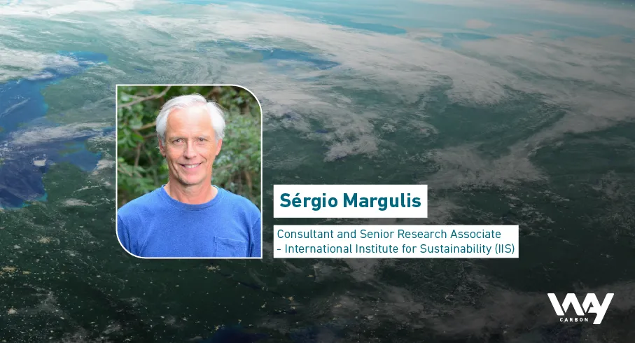 Interview with Sergio Margulis: financing climate adaptation at COP28