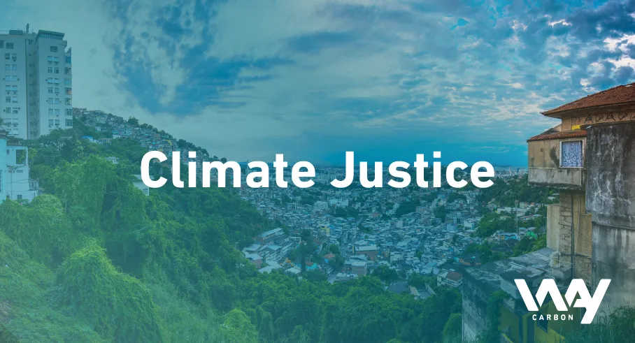 Environmental destruction: a problem with disproportionate consequences