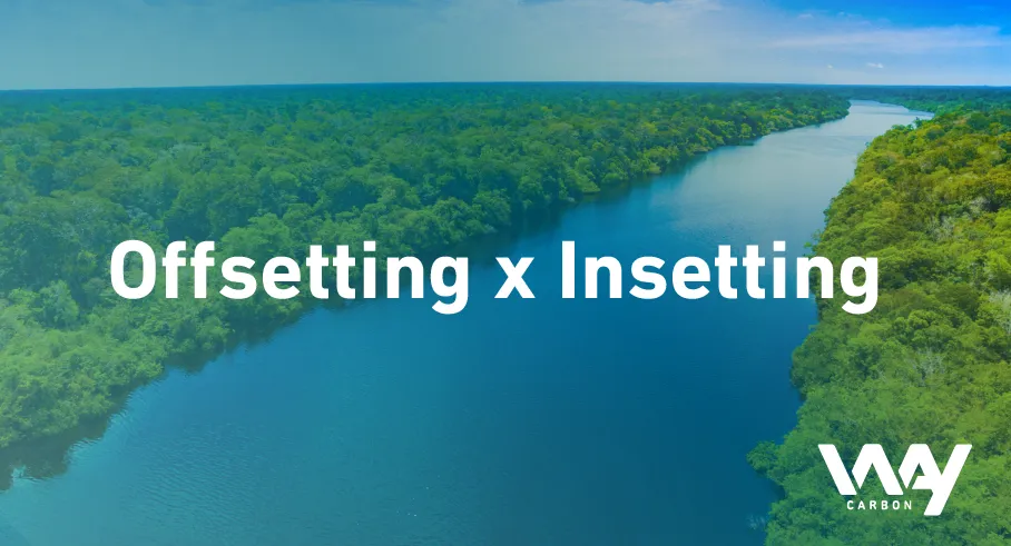Offsetting x Insetting: how to define a good strategy?