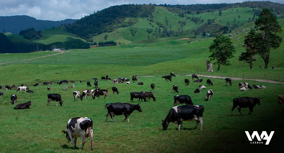 LEBAM Program, innovation to reduce emissions from dairy farming