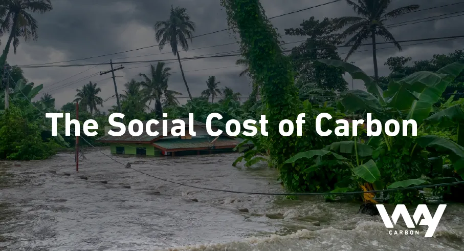 What is the social cost of carbon?