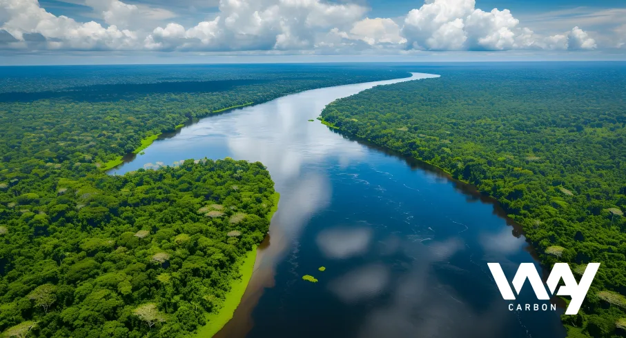 Carbon credits: from generation to negotiation