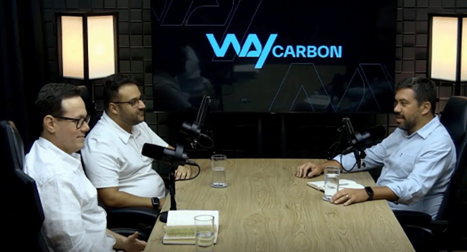 WayCarbon Talks: SBTi goals in practice