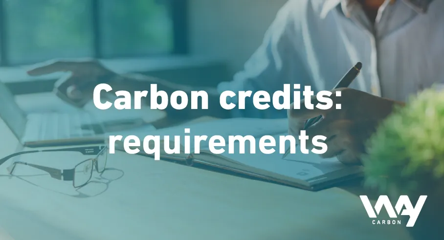 What are the prerequisites for eligibility of a carbon credit?