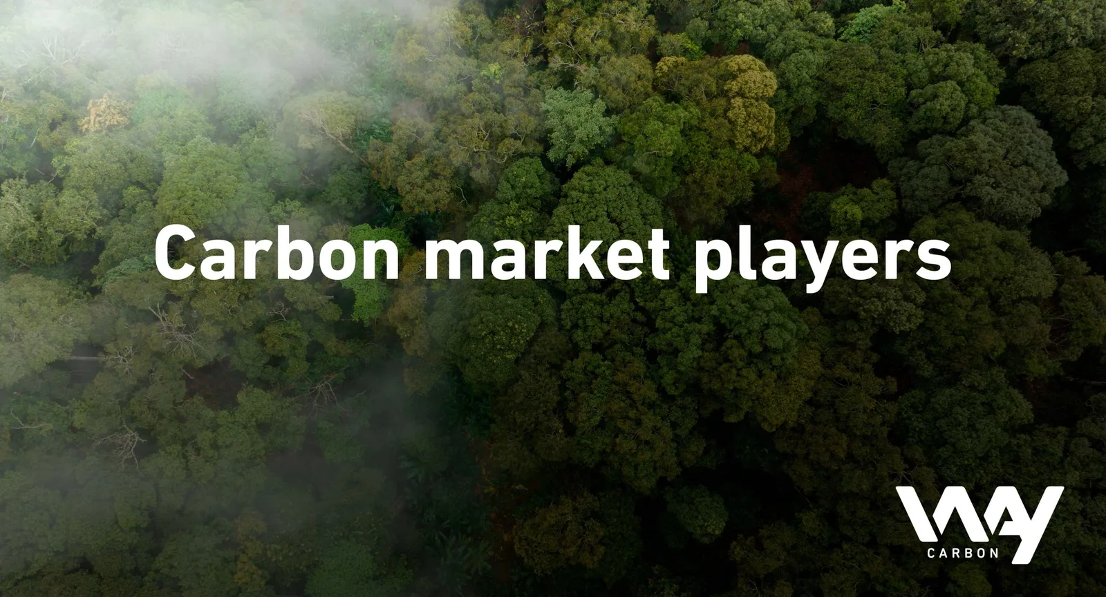 What are the roles of companies in the carbon market?