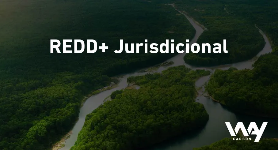 REDD+ Jurisdicional: vantagens e desafios