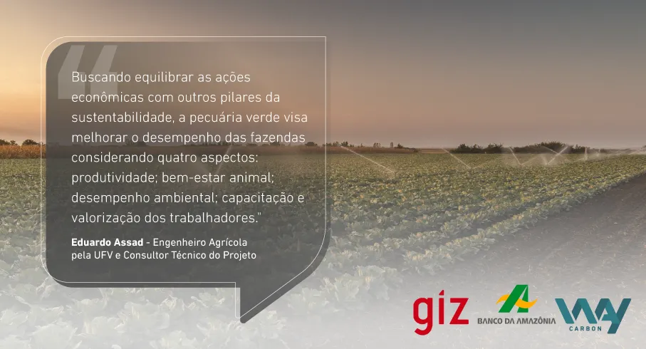 Banco da Amazônia e a pecuária verde