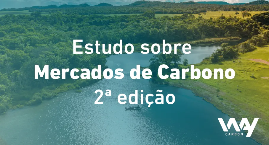 WayCarbon e ICC lançam novo estudo sobre Mercados de Carbono
