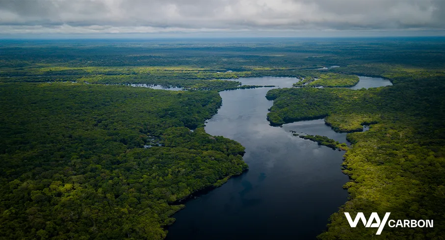 Capital natural: riscos e geração de valor