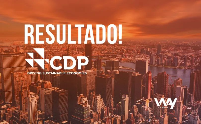 CDP 2017