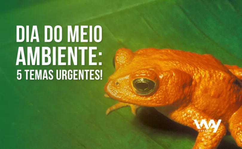 dia do meio ambiente