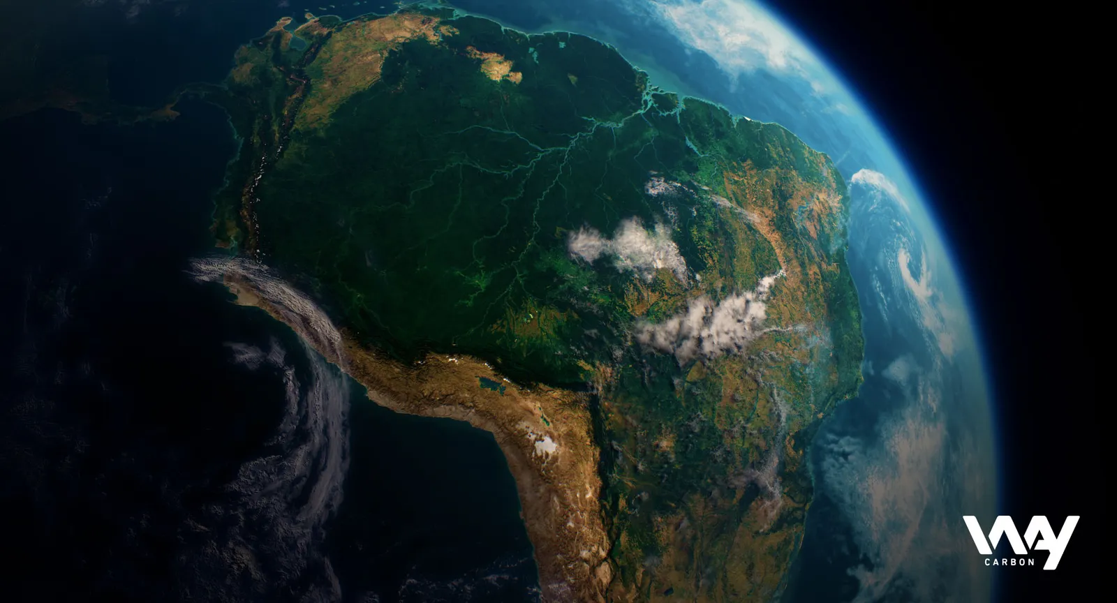 Entrevista: WayCarbon e ICC apoiam governo na regulamentação do mercado de carbono