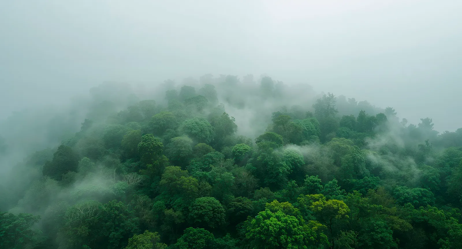 Emissões evitadas: o Escopo 4 como nova fronteira na Governança Climática