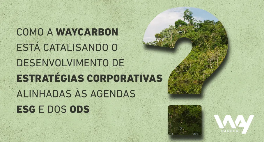 Como a WayCarbon está catalisando o desenvolvimento de estratégias corporativas alinhadas às agendas ESG e dos ODS?