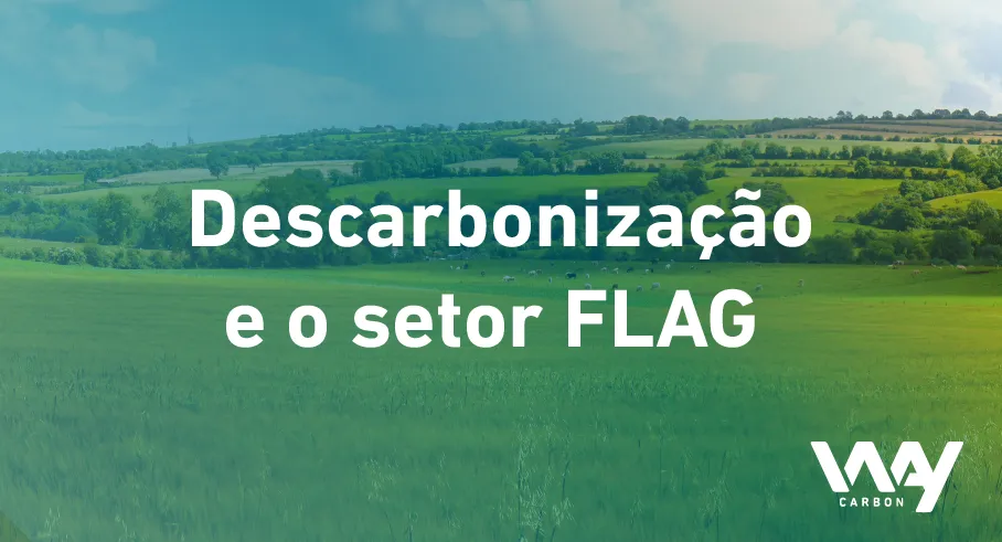 Metas de descarbonização para o setor FLAG
