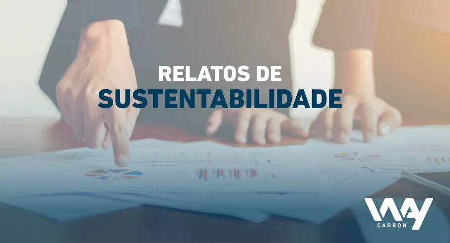 Os programas de relato na jornada de sustentabilidade