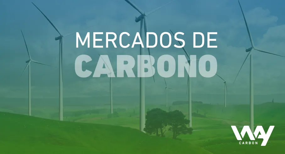 O que a COP26 mudou nos mercados de créditos de carbono?