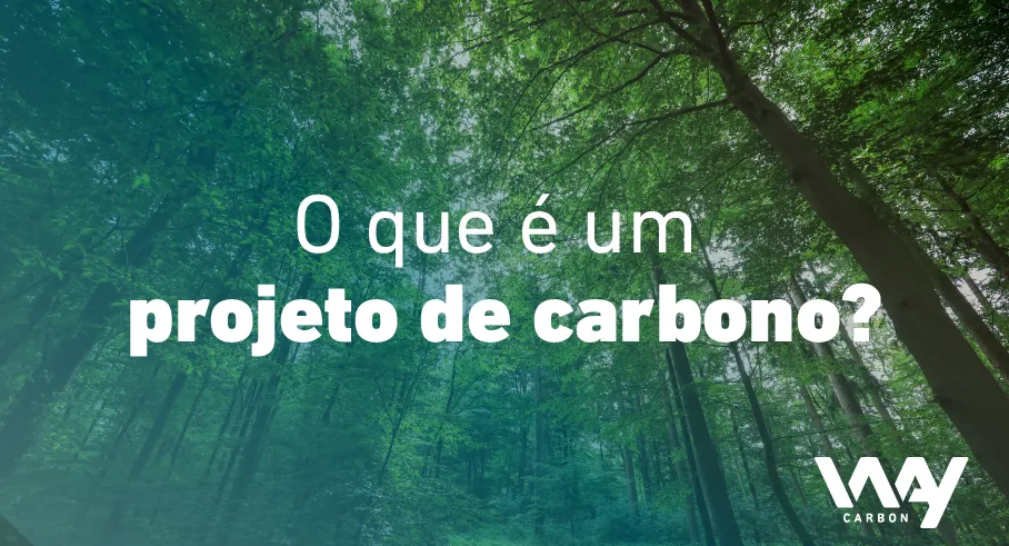 O que é um projeto de carbono e quais oportunidades pode gerar?