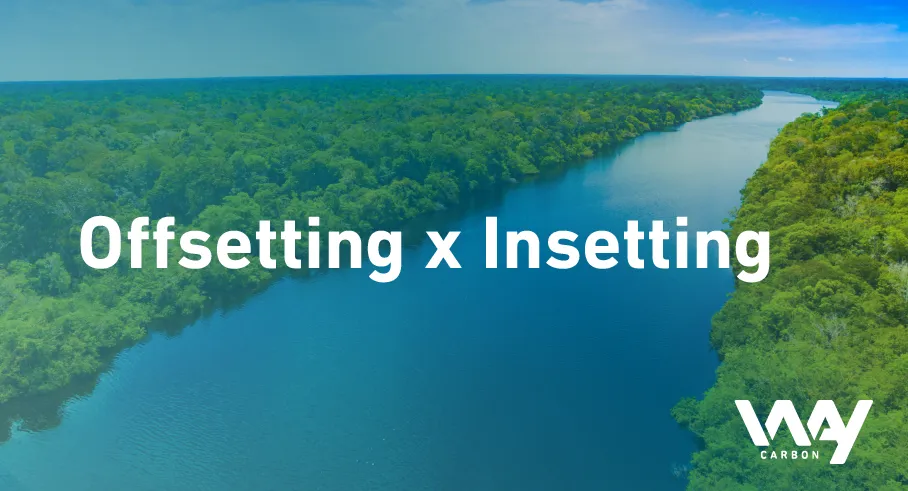 Offsetting x Insetting: como definir uma boa estratégia?