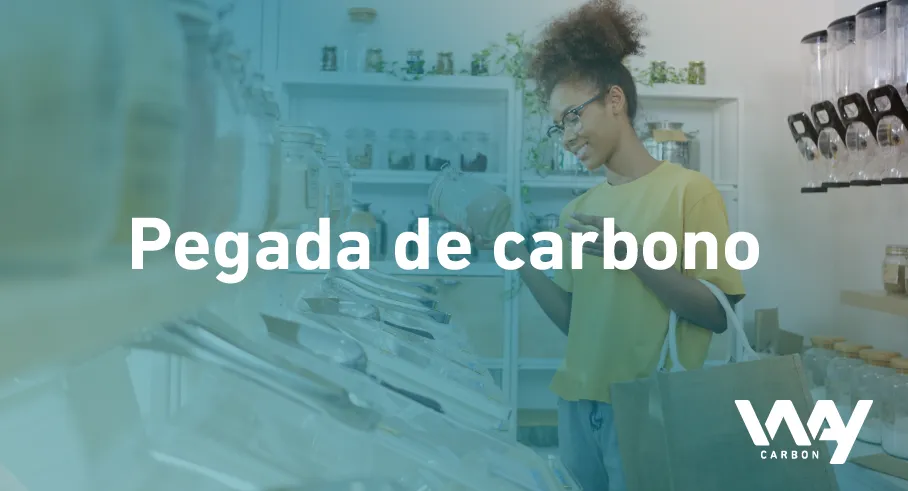 Pegada de carbono como posicionamento de produto