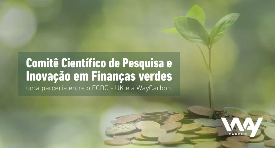 Primeiro Comitê Científico de Pesquisa e Inovação em Finanças verdes: uma parceria entre o FCDO – UK e a WayCarbon.