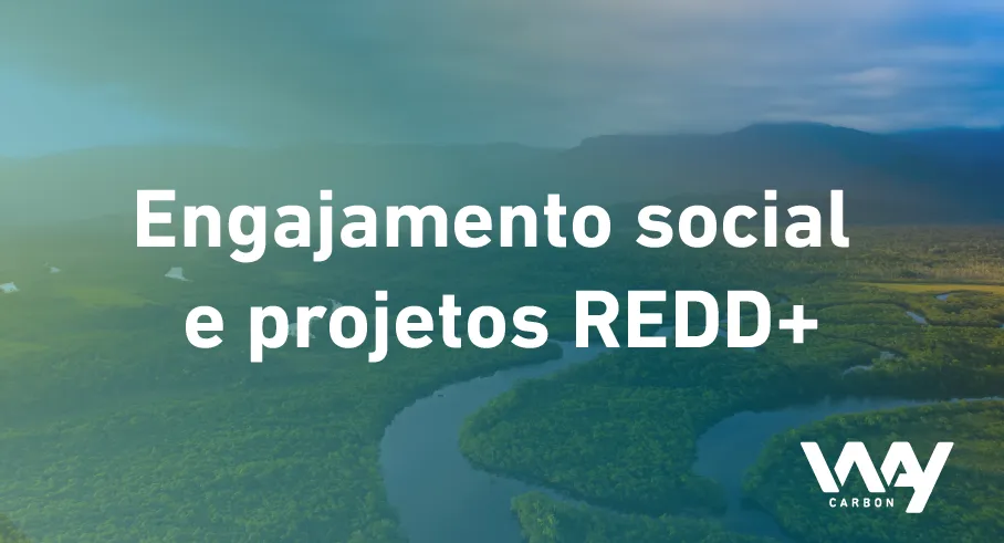 Por que o engajamento social é importante em um projeto de carbono REDD+?