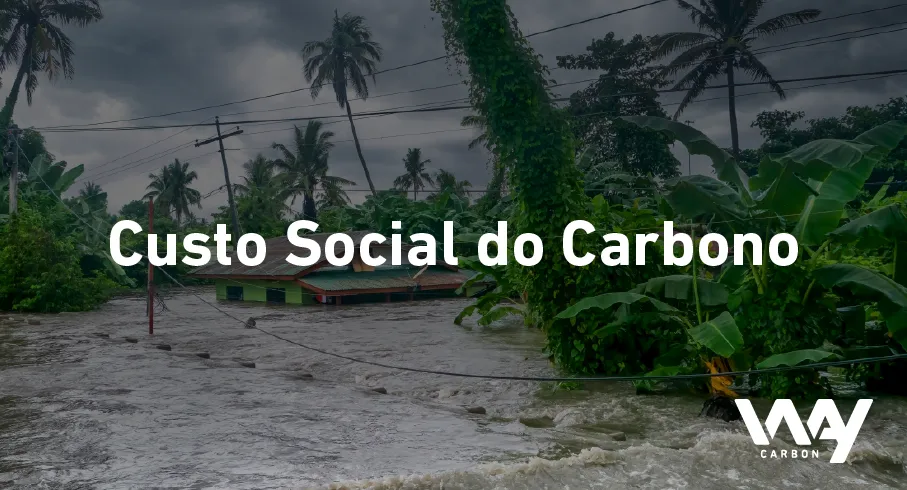Qual é o Custo Social do Carbono?