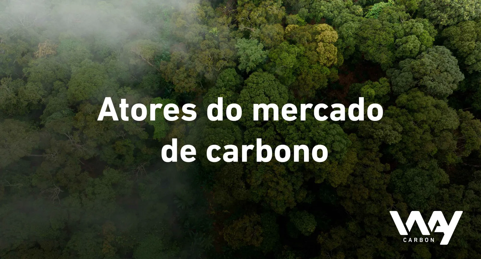 Como atuar no mercado de carbono?