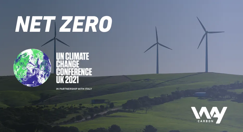 Qué es y cuándo escoger ser una empresa net zero?