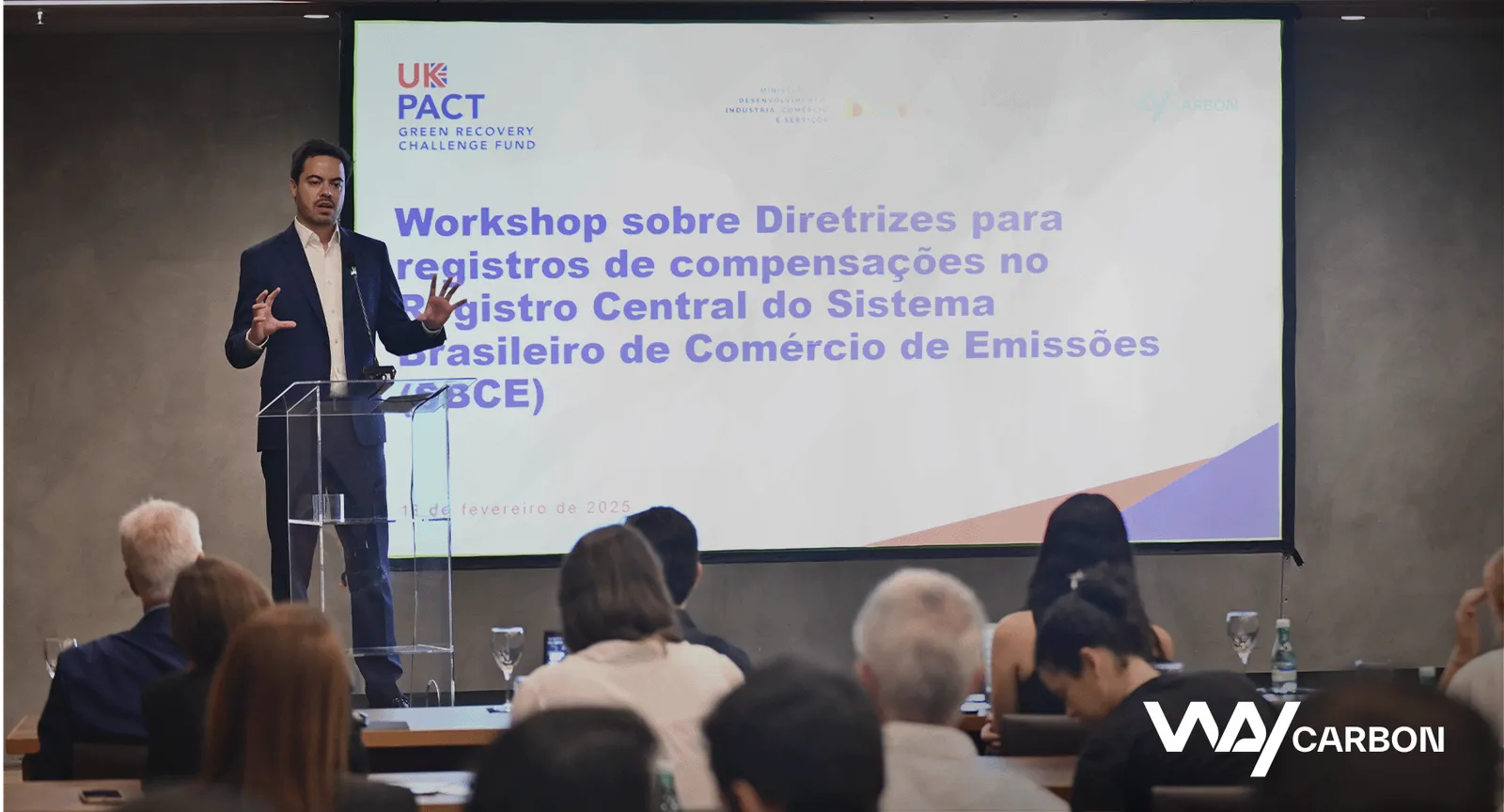 Mercado de carbono brasileiro: relatório inédito apoia a implementação