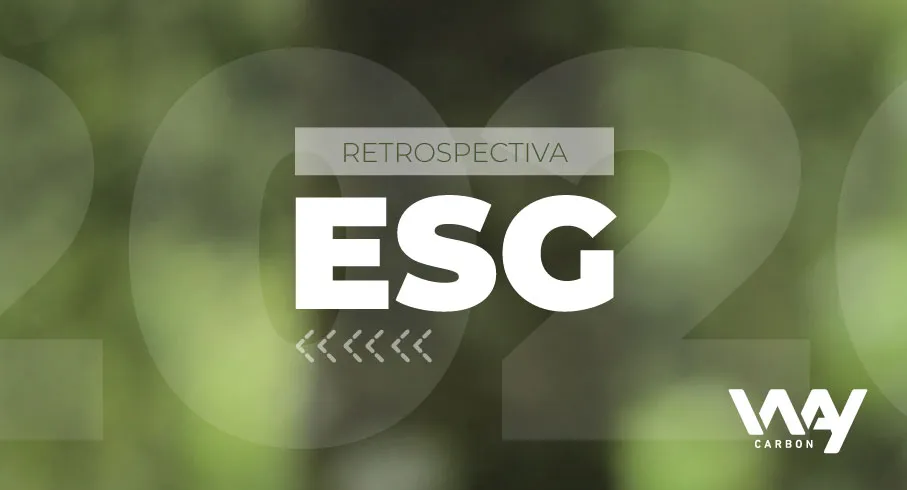Retrospectiva ESG: os marcos da sustentabilidade em 2020