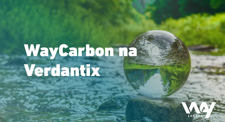 Soluções da WayCarbon são citadas na Verdantix entre as principais do mundo para estratégias Net Zero e de Risco Climático