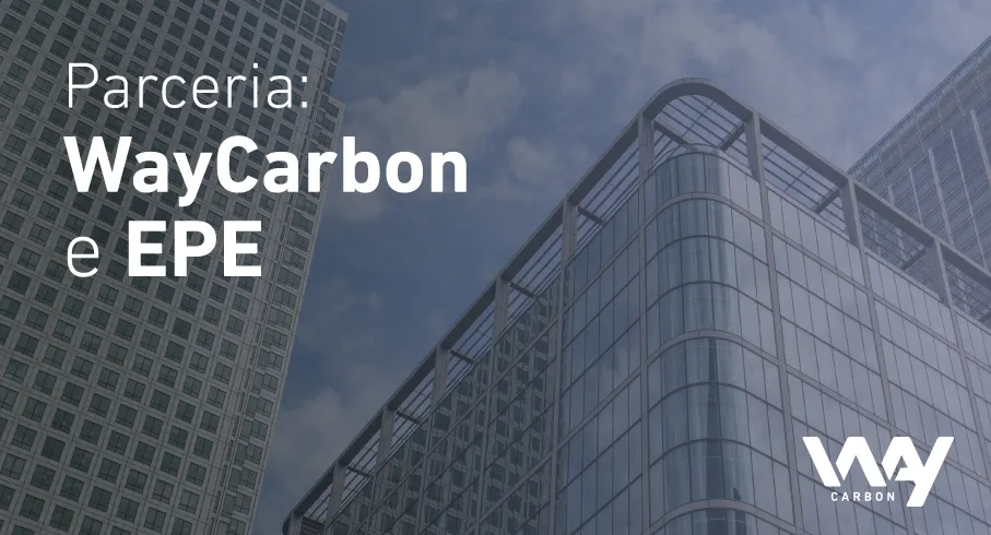 WayCarbon participa da definição de indicadores socioambientais para o governo federal