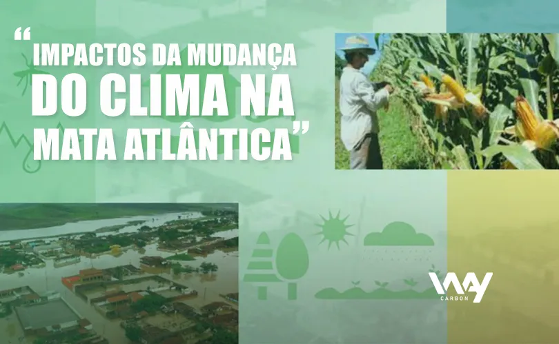 WayCarbon apresenta relatório em evento do projeto Mata Atlântica