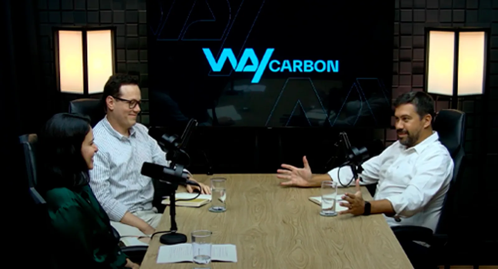 WayCarbon Talks discute planos de transição climática