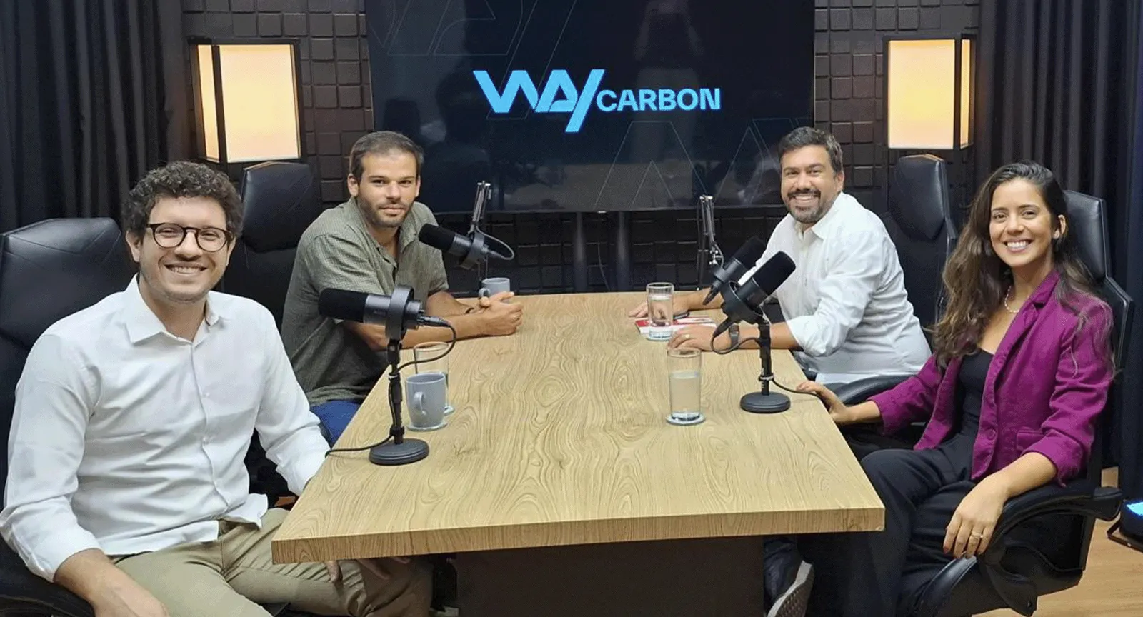 WayCarbon Talks: implementação das normas IFRS